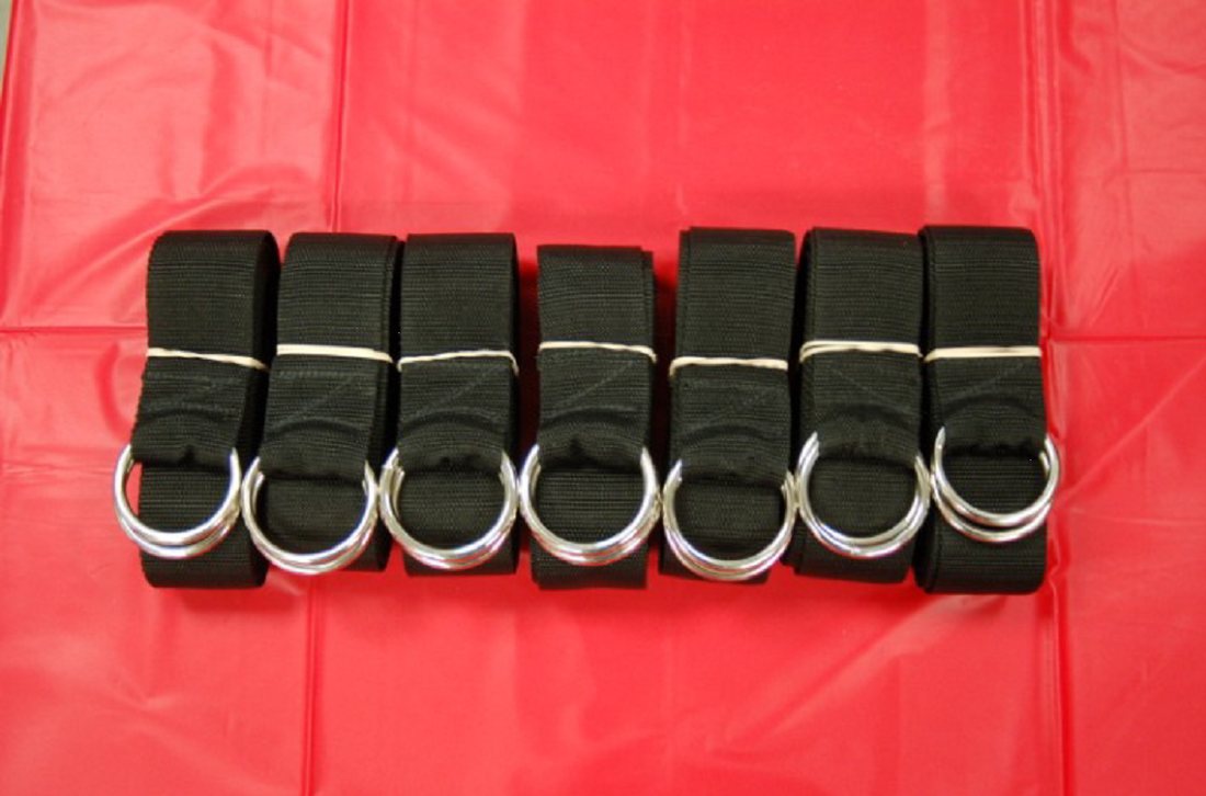 Seven Mat Straps laid out on a red competition mat, each with a zinc-plated steel D-ring